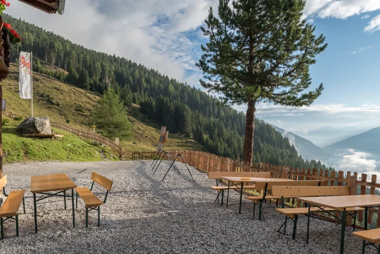 Milderaunalm Fotos Kalti 013 Kopie