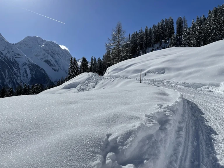 Milderaunalm-tirol (113)