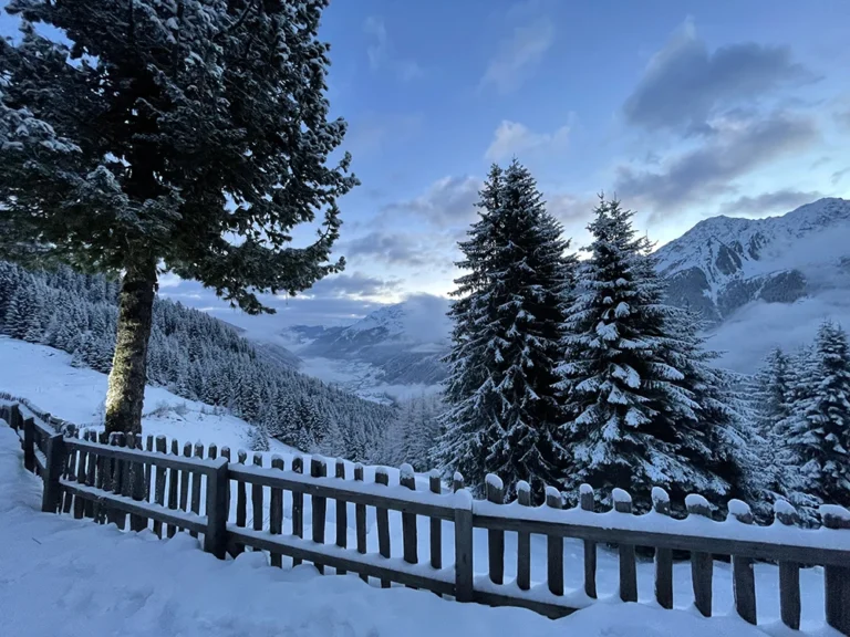 Milderaunalm-tirol (56)