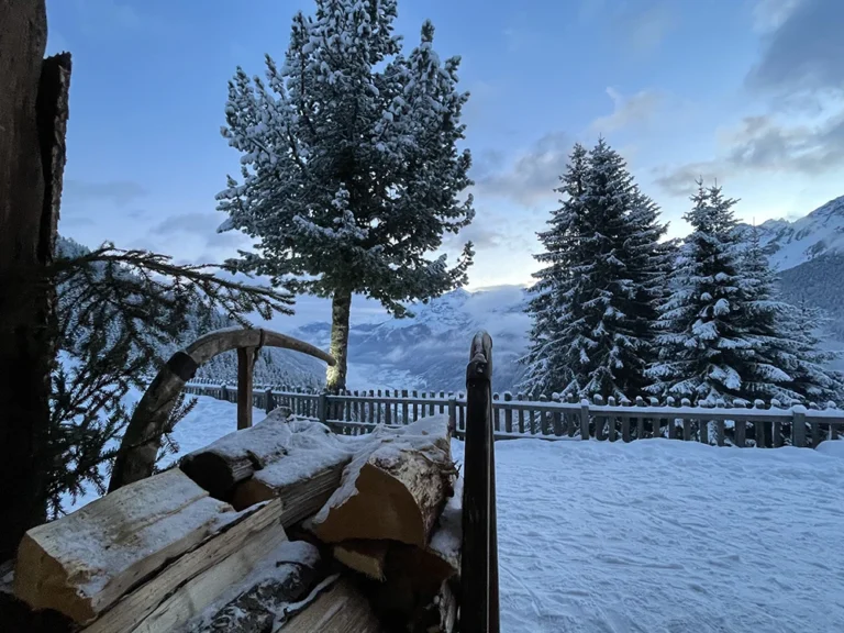 Milderaunalm-tirol (59)