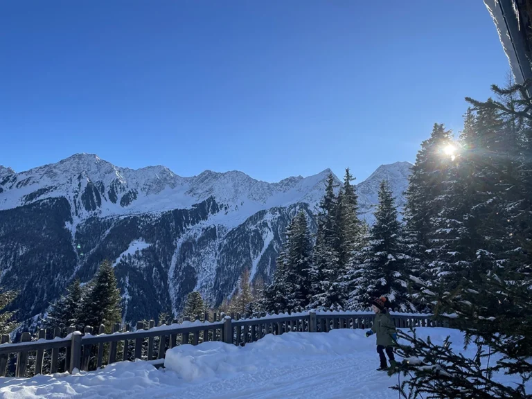 Milderaunalm-tirol (61)