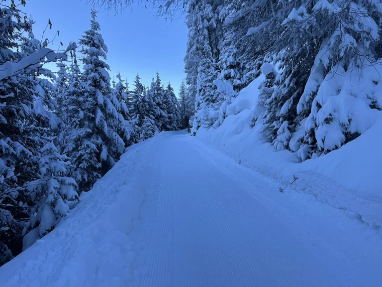 Milderaunalm-tirol (65)