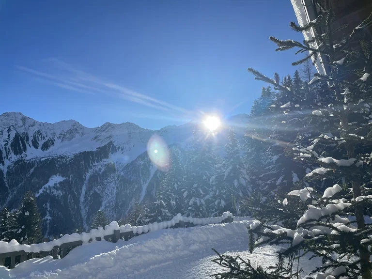 Milderaunalm-tirol (68)