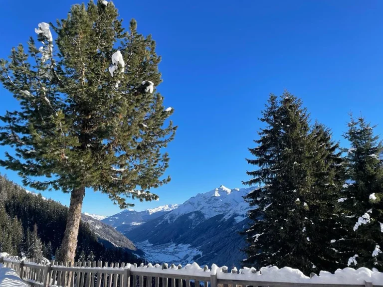 Milderaunalm-tirol (70)