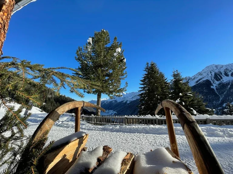 Milderaunalm-tirol (72)